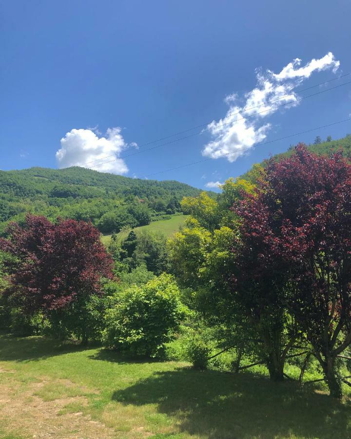 Ca' Maranghi Holiday House بالازولو سول سينيو المظهر الخارجي الصورة
