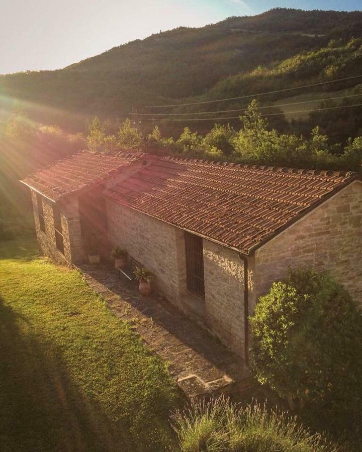 Ca' Maranghi Holiday House بالازولو سول سينيو المظهر الخارجي الصورة